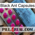 Black Ant Capsules 35